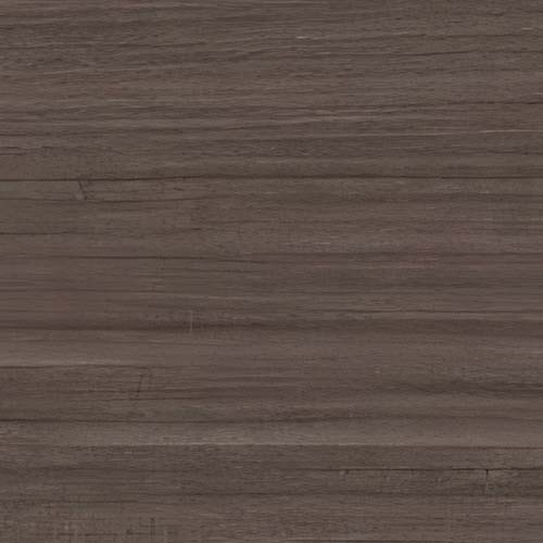 Eucalyptus