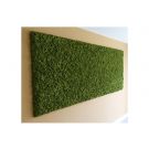 Mosschilderij - 80 x 200 cm